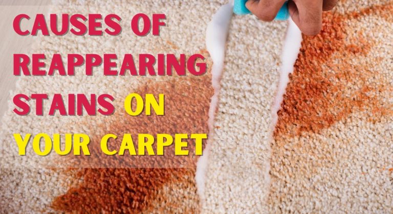 Reappearing Stains Carpet